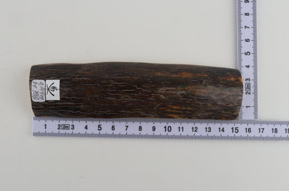 Brown woolly mammoth bark