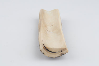 Brown woolly mammoth bark