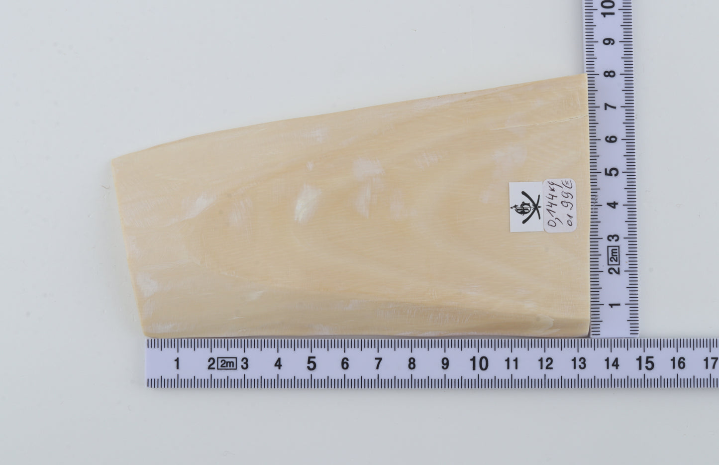 White mammoth ivory segment