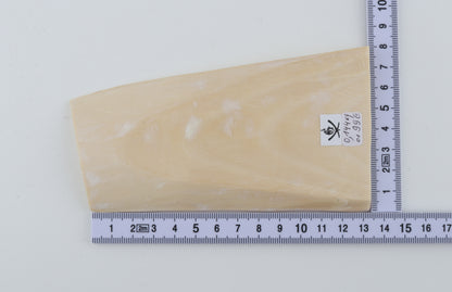 White mammoth ivory segment