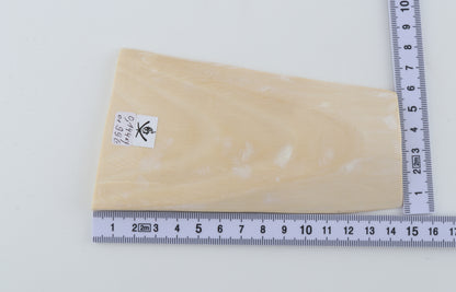 White mammoth ivory segment