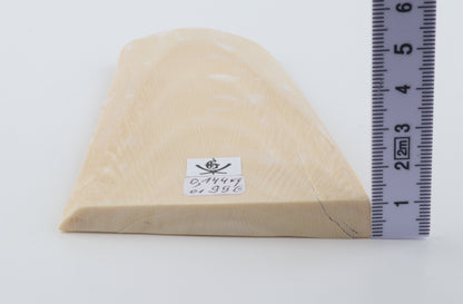 White mammoth ivory segment