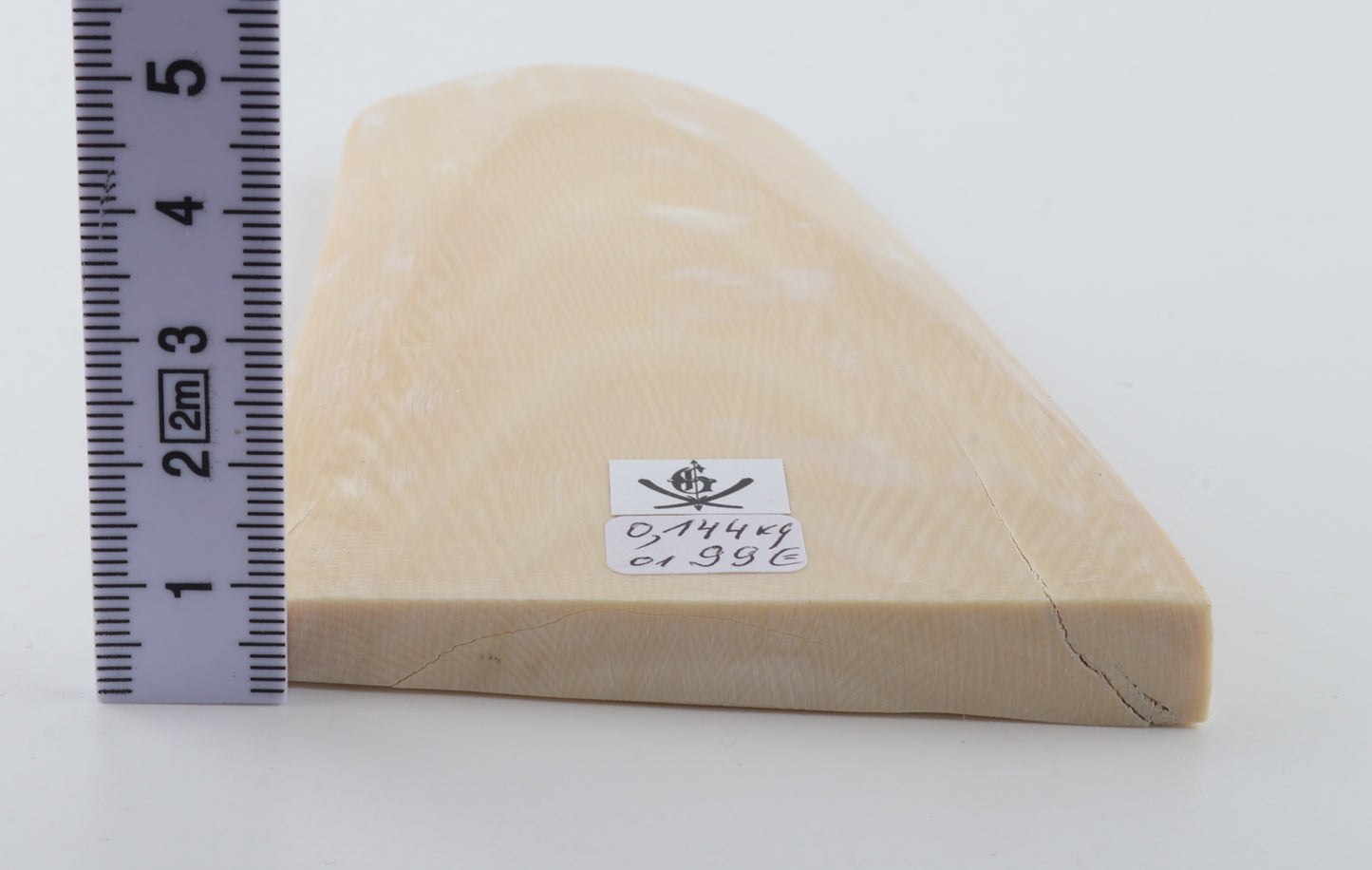 White mammoth ivory segment