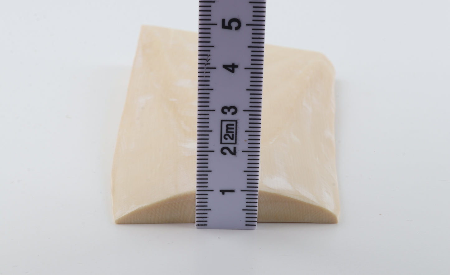 White mammoth ivory segment