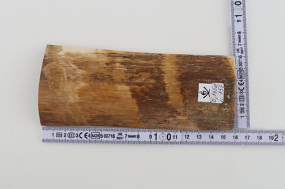 Beige-brown mammoth bark