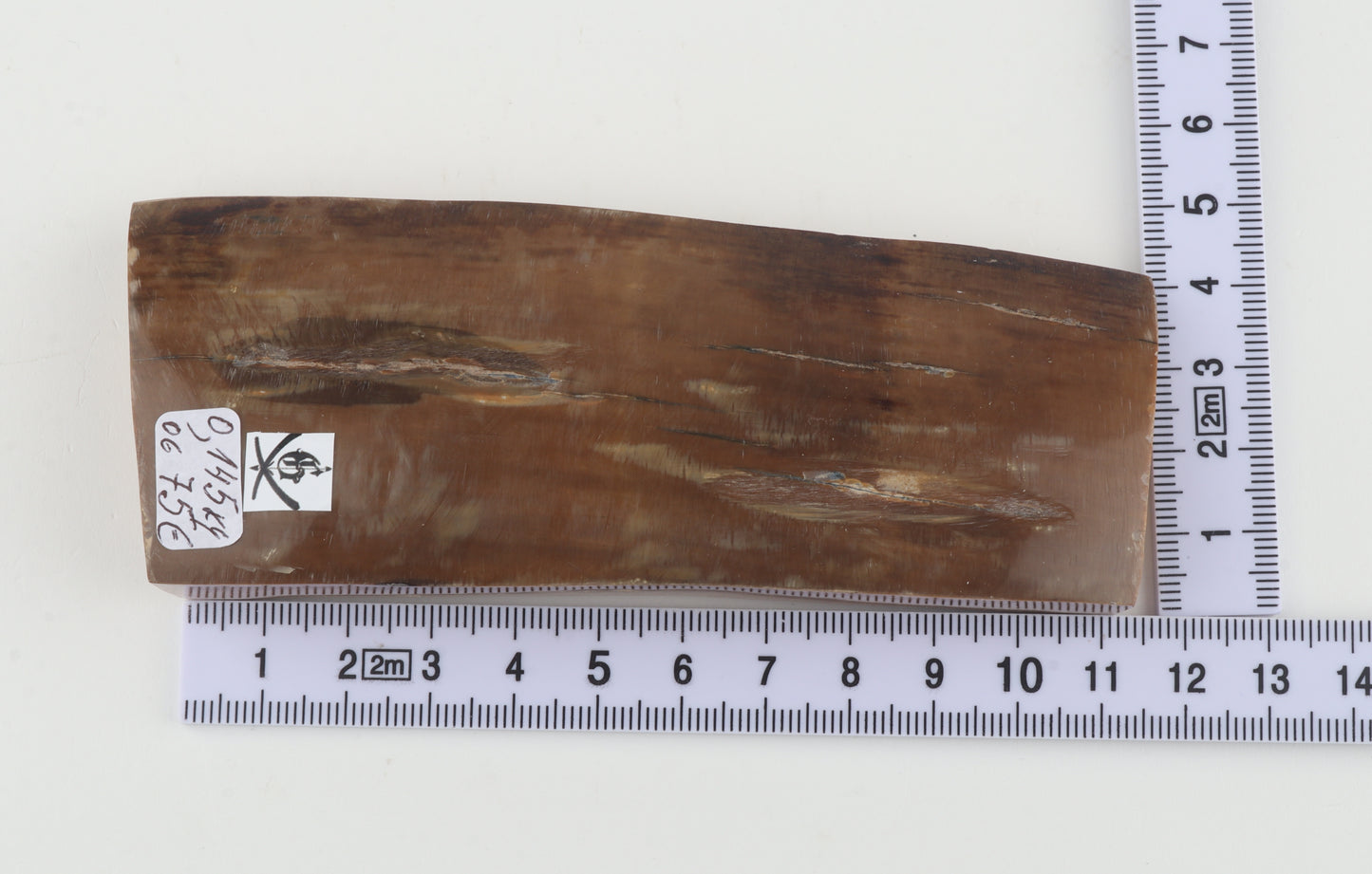 Brown mammoth ivory piece