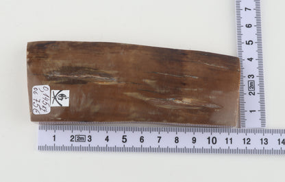 Brown mammoth ivory piece