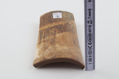 Beige-brown mammoth bark