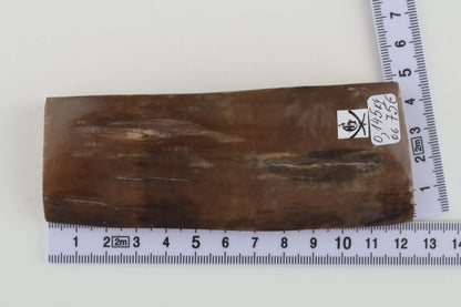 Brown mammoth ivory piece