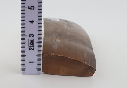 Brown mammoth ivory piece