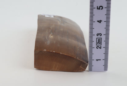 Brown mammoth ivory piece