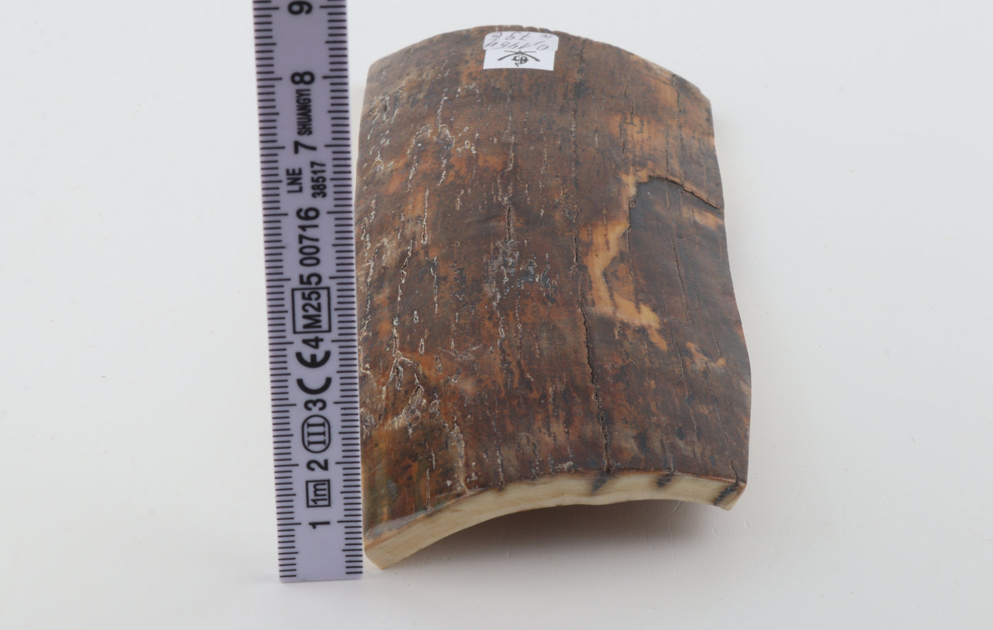 Brown mammoth bark