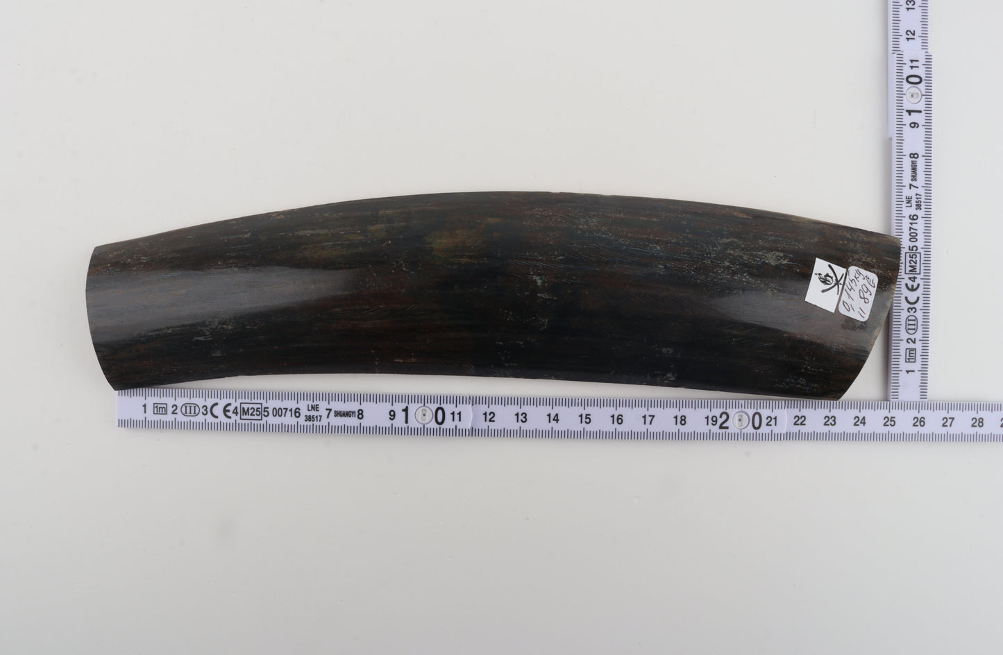 Brown-blue mammoth bark