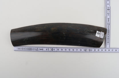 Brown-blue mammoth bark