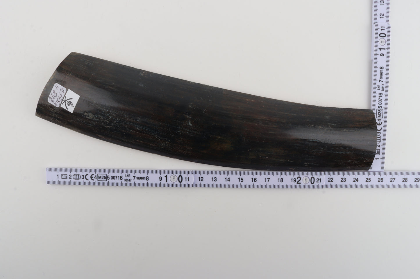 Brown-blue mammoth bark