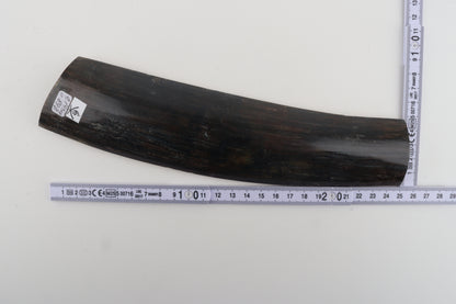 Brown-blue mammoth bark