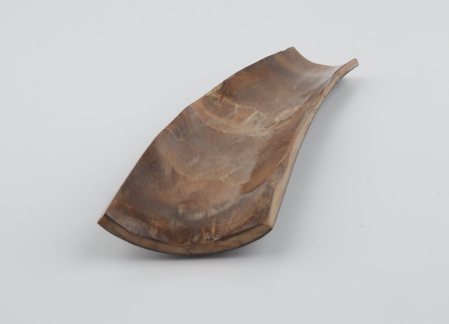 Brown-blue mammoth bark