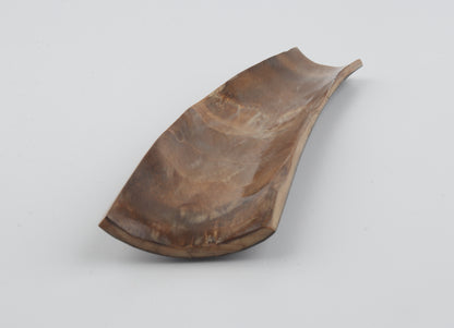 Brown-blue mammoth bark