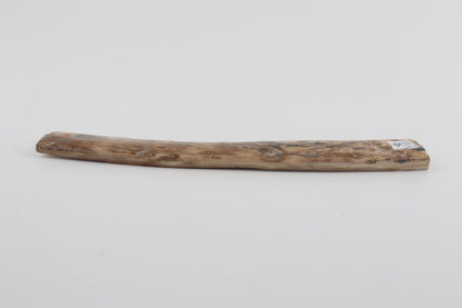 Beige mammoth bark