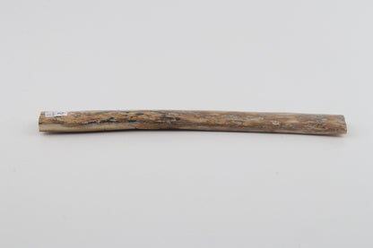 Beige mammoth bark