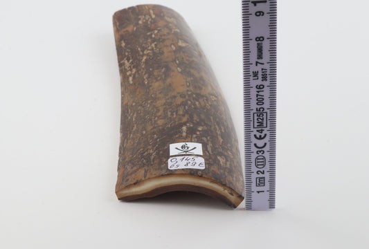 Brown-mustard mammoth bark