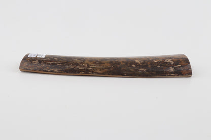 Brown-mustard mammoth bark