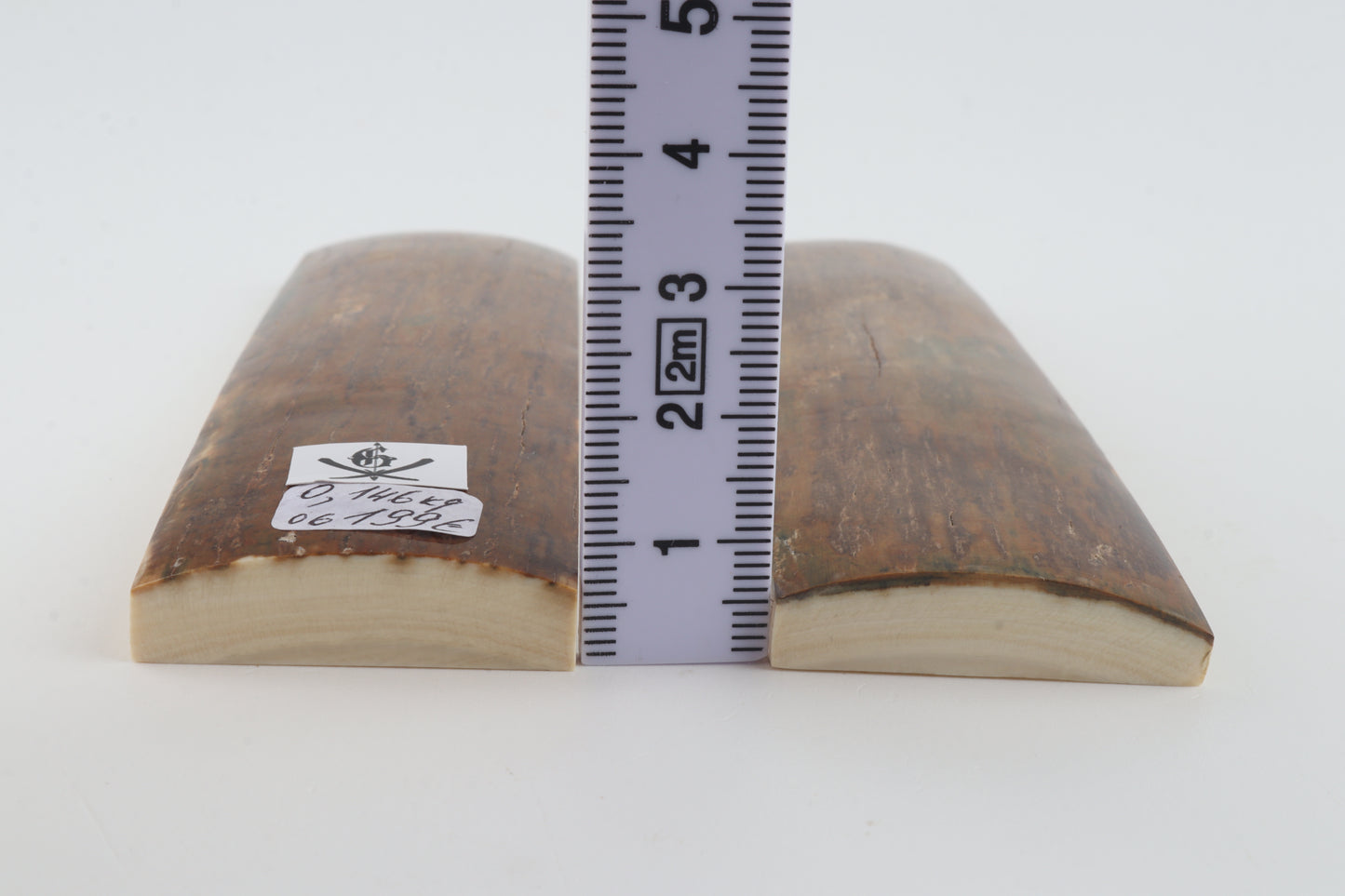 Natural mammoth bark scales