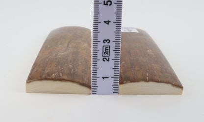 Natural mammoth bark scales