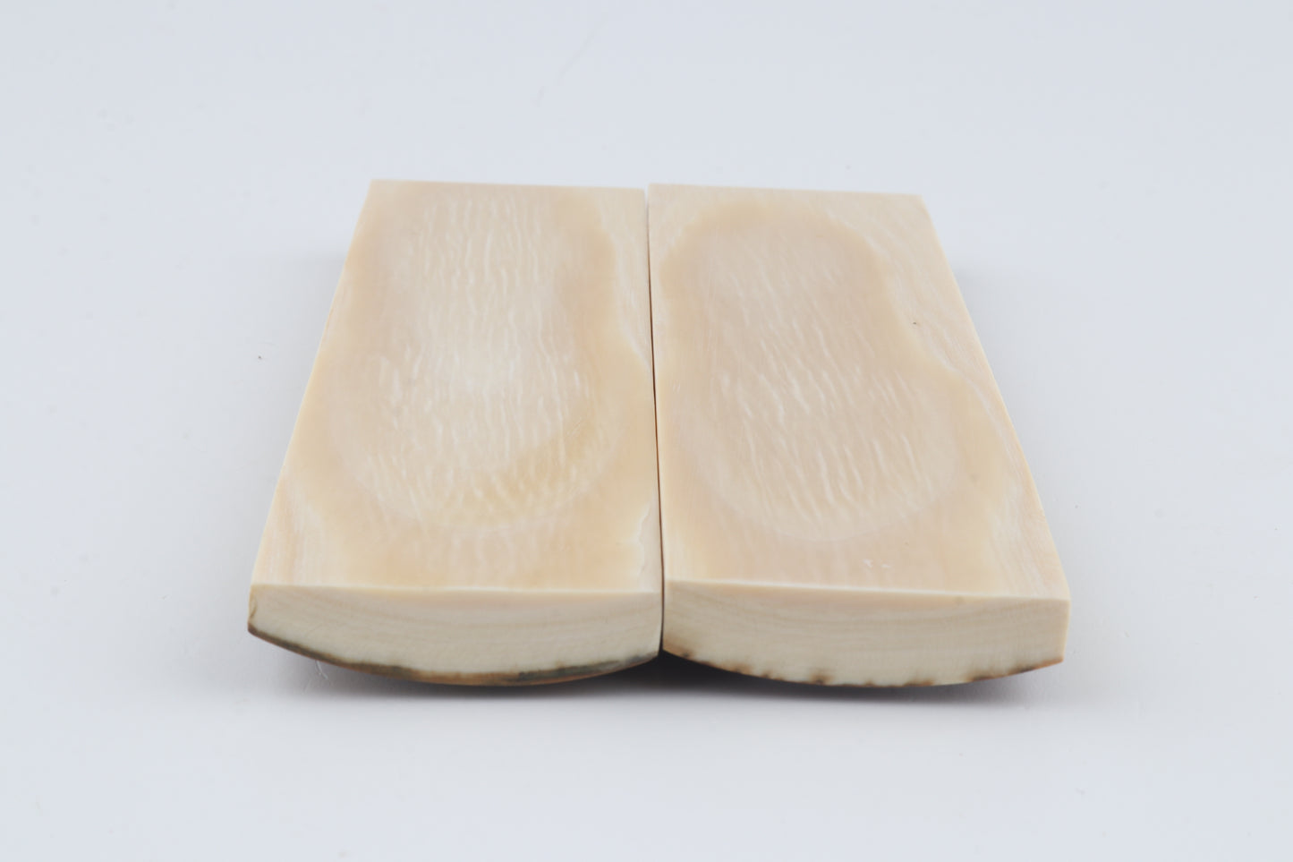 Natural mammoth bark scales