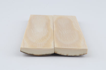 Natural mammoth bark scales