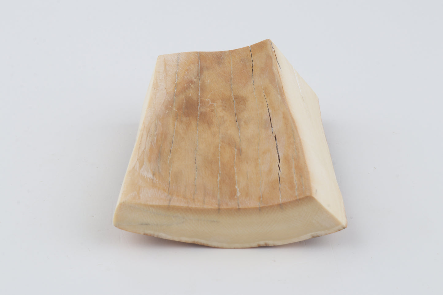 Natural mammoth ivory pieces