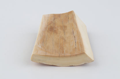 Natural mammoth ivory pieces