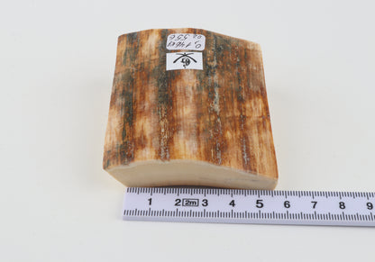 Natural mammoth ivory pieces