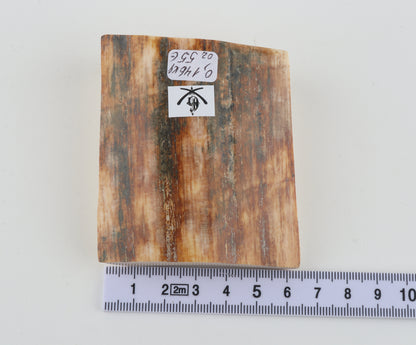 Natural mammoth ivory pieces