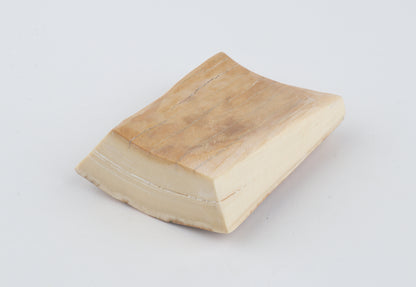 Natural mammoth ivory pieces