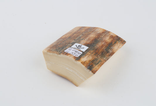 Natural mammoth ivory pieces