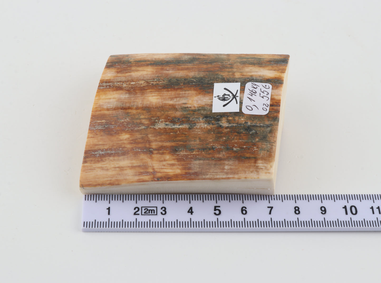 Natural mammoth ivory pieces