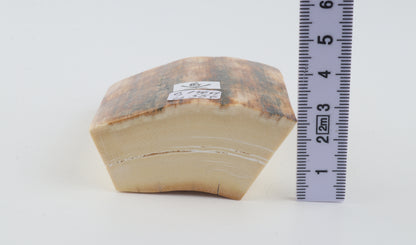 Natural mammoth ivory pieces