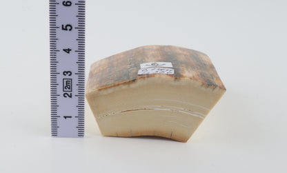 Natural mammoth ivory pieces