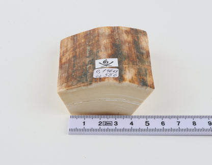 Natural mammoth ivory pieces