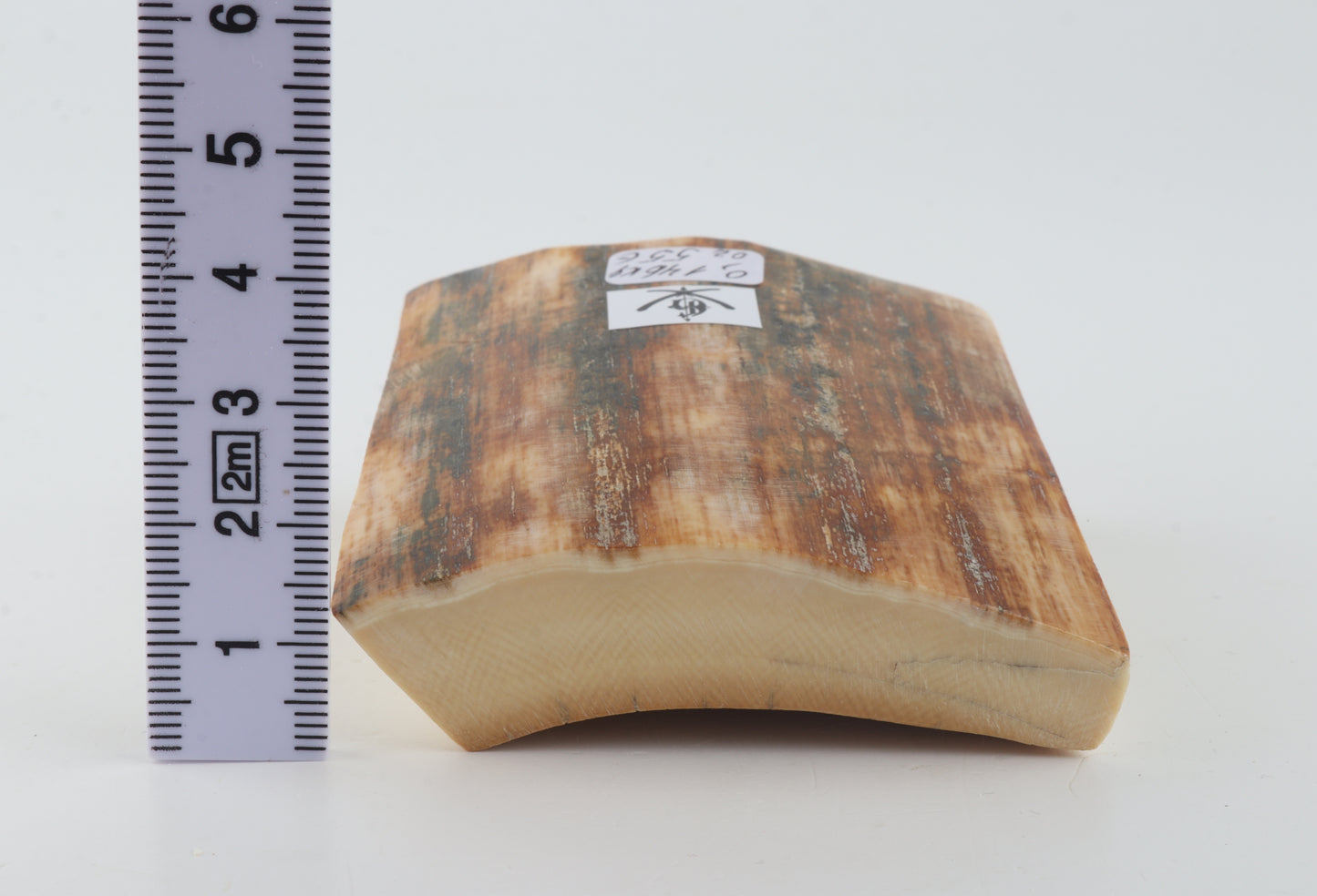 Natural mammoth ivory pieces