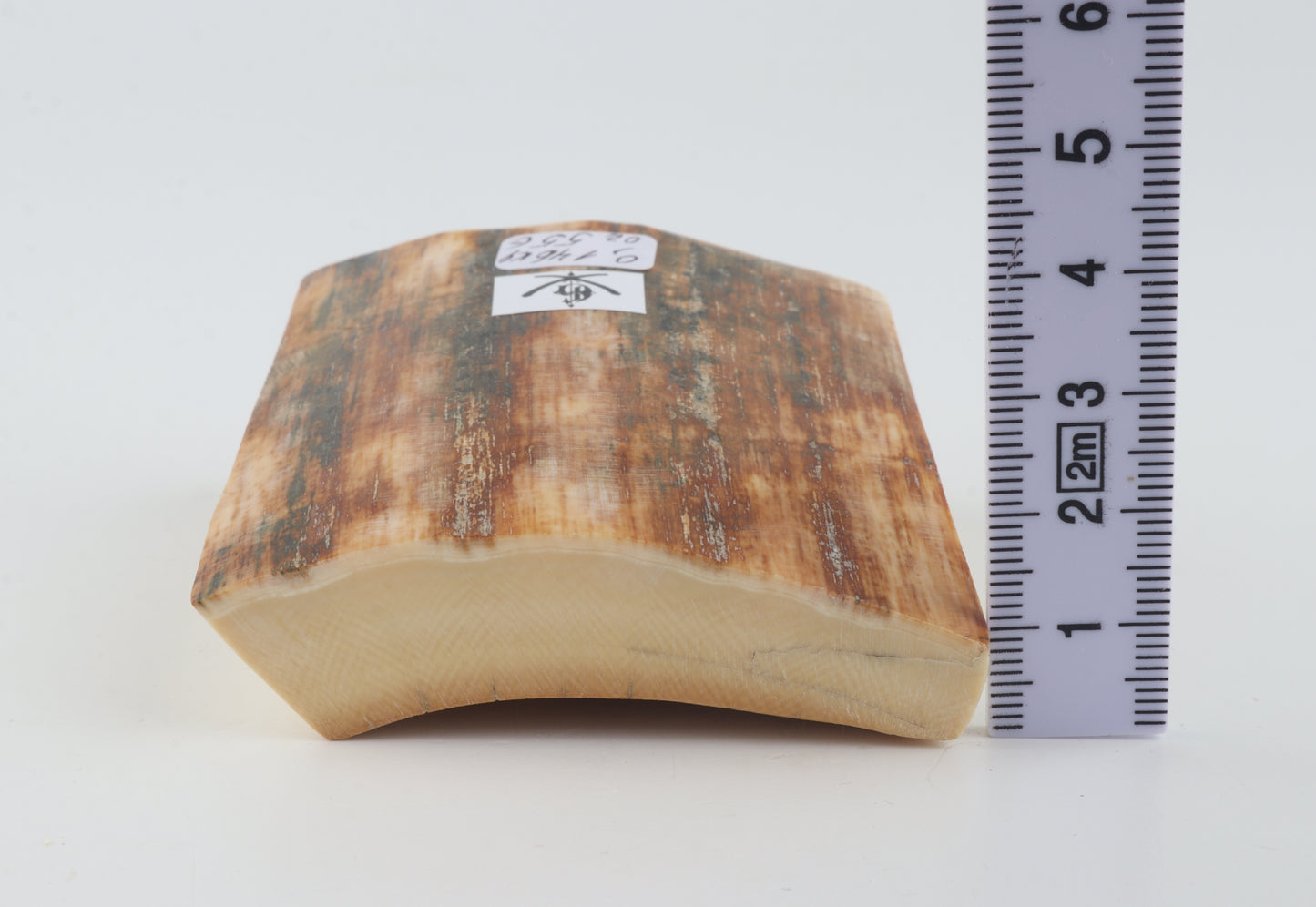 Natural mammoth ivory pieces