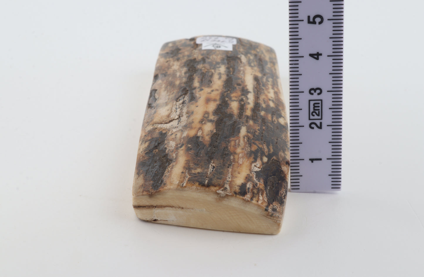 Natural mammoth bark