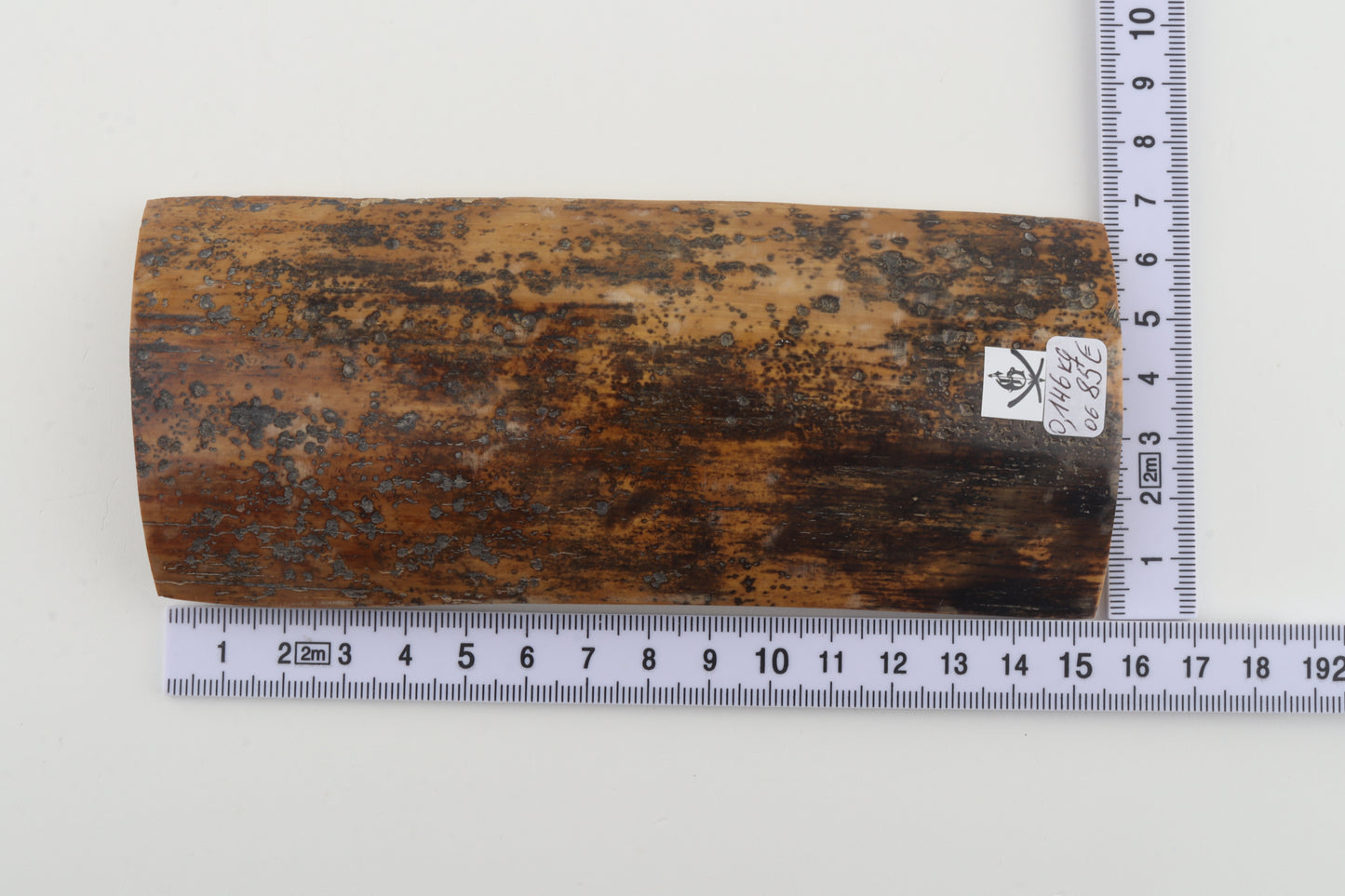 Brown-mustard mammoth bark