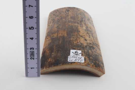 Brown-mustard mammoth bark
