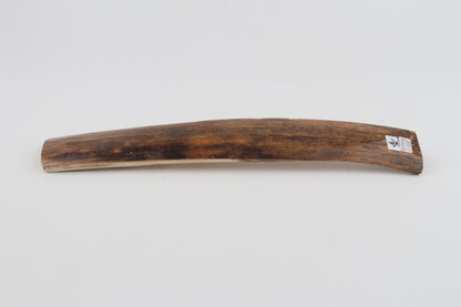 Brown-mustard mammoth bark