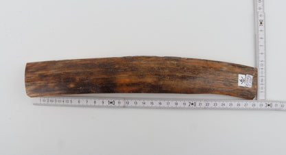 Brown-mustard mammoth bark