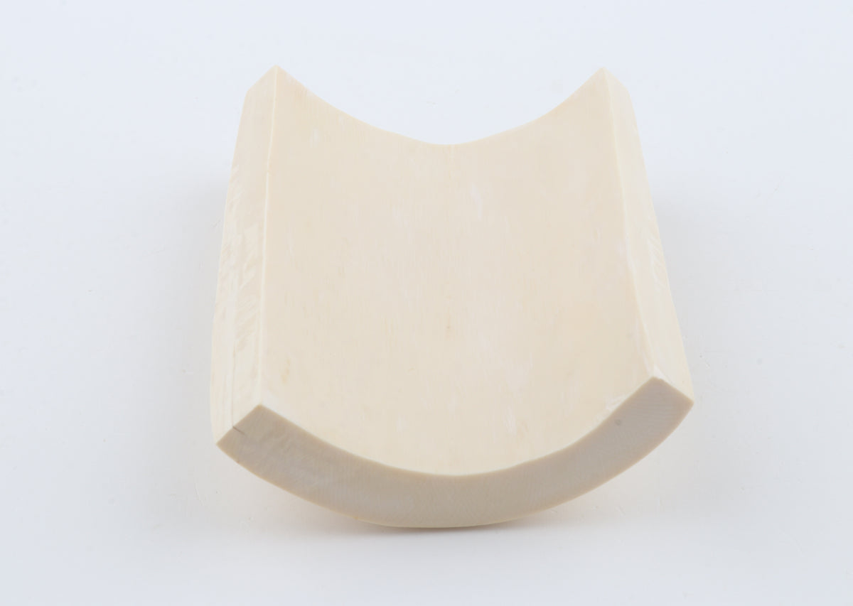 White mammoth ivory segment