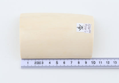 White mammoth ivory segment