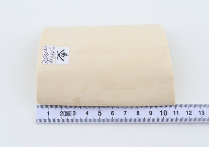 White mammoth ivory segment